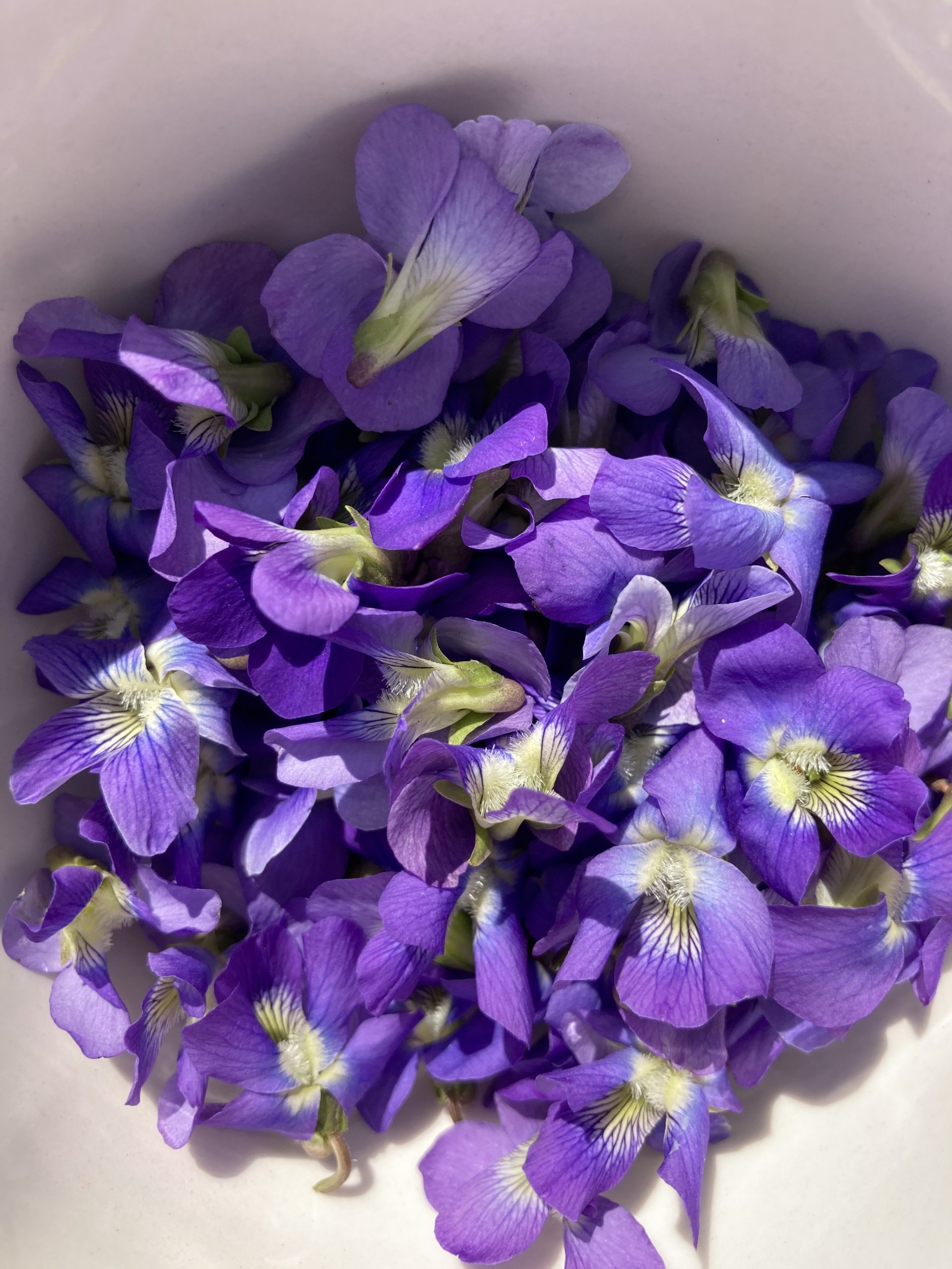 A picture of a heap of flowers from violets aka violas - intensely purple with pale yellow centers