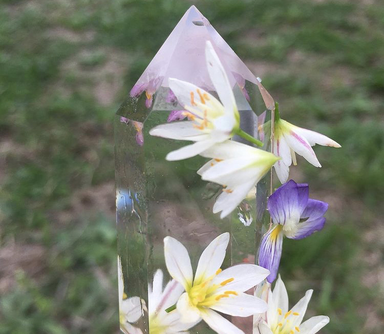 A photo of a clear quartz crystal with a rainbow of colours on its surface against a background of grass, surrounded by a mixture of Viola and Nothoscordum flowers (violets, which are purple, and  false garlic/crowpoison flowers which are white.  Both have yellow centers.)